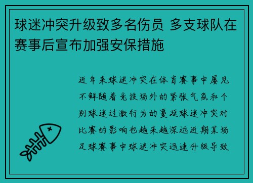 球迷冲突升级致多名伤员 多支球队在赛事后宣布加强安保措施